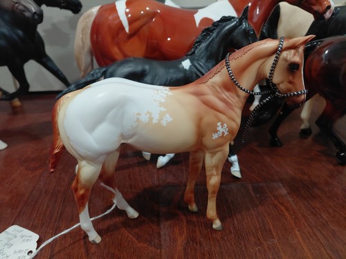 Peter stone horse appaloosa - peter,