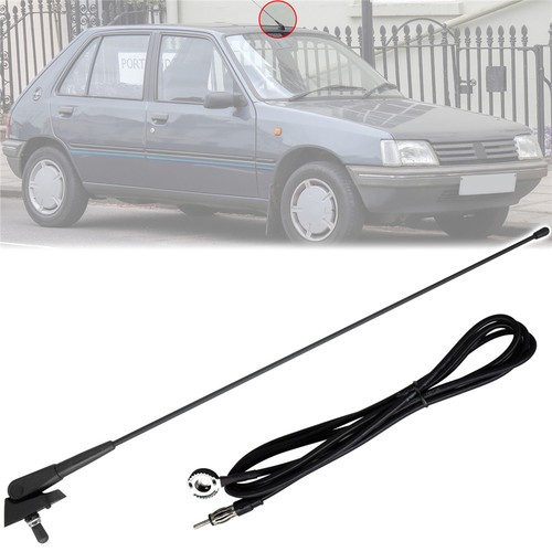 Cavo base antenna albero tetto