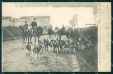 Torino Venaria Reale La