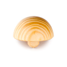 Legno Semi Sfera Abete Rosso