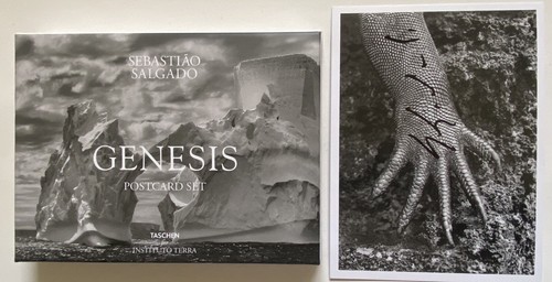 Sebastiao salgado firmato - sebastiao,