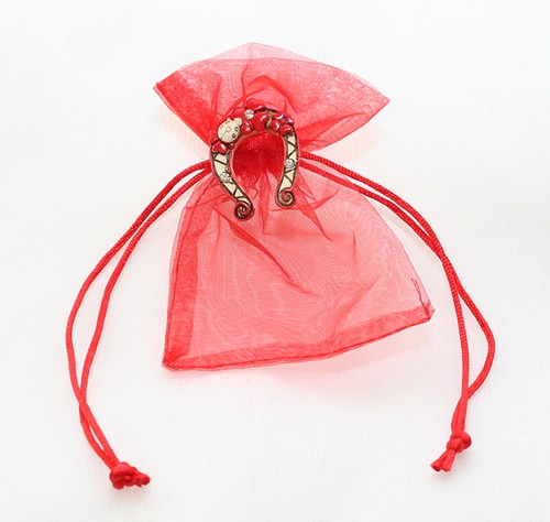 Sacchetti rossi organza - 12, in