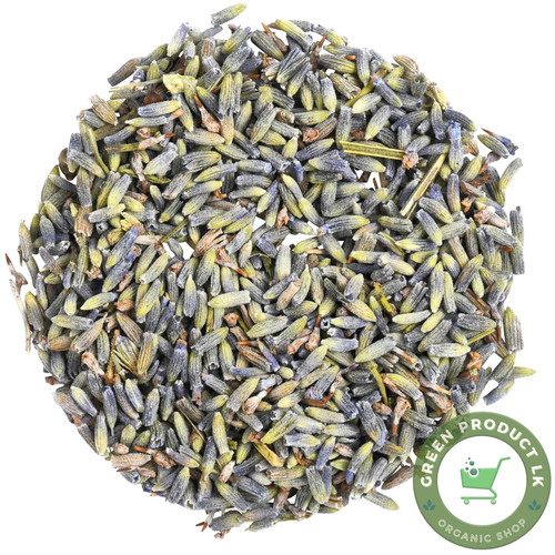 Boccioli fiori lavanda - boccioli, di