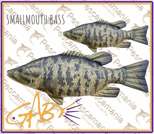 Cuscino imbottito smallmouth - cuscino,