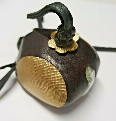 Falconeria goldie olandese - falconeria,