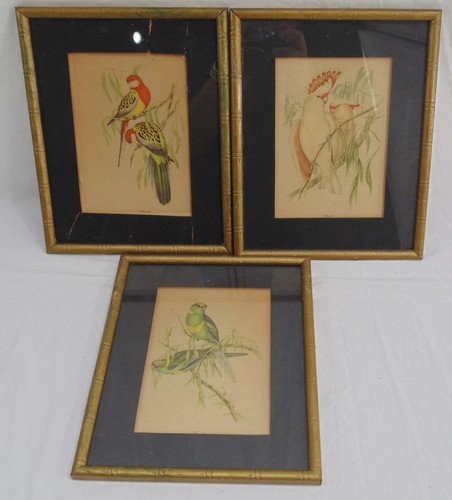 Lotto vintage stampe - vintage,