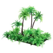 Pianta di Palma da Cocco