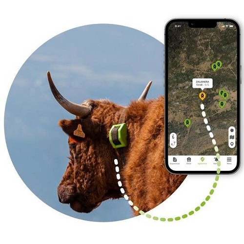 Collare gps per bovini - per,