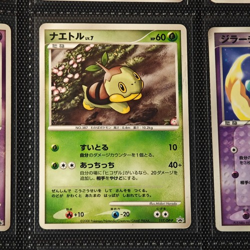 Turtwig dp - (dp-p, 117)