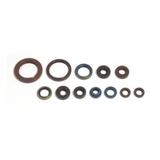 serie paraoli motore Aprilia
