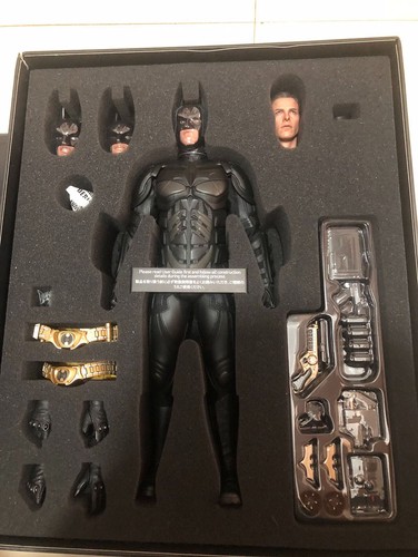 Hottoys dx12 the dark - hottoys,