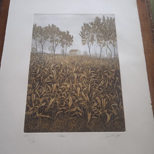 Incisione oliviero masi - incisione,