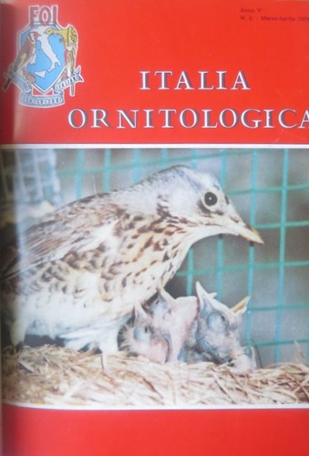 Italia ornitologica anno - ornitologica., v