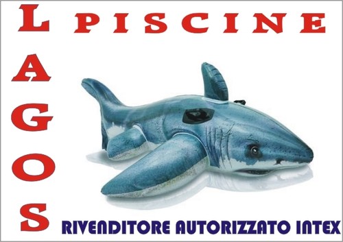 Cavalcabile squalo bianco - squalo,