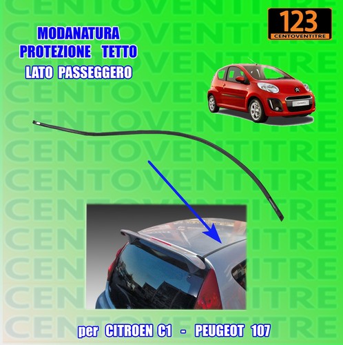 Profilo tetto lato destro - profilo,