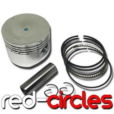 KIT PISTONE E ANELLI PIT DIRT