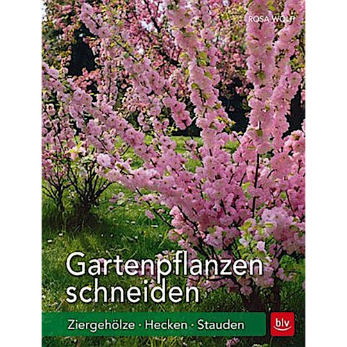 Tagliare piante giardino - piante,