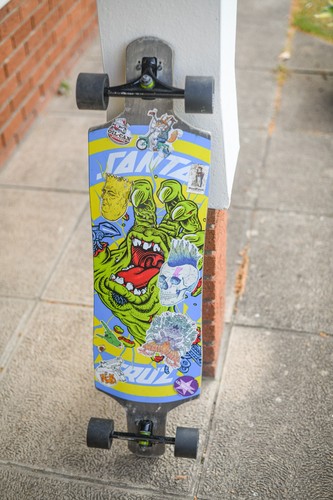 Santa cruz skateboards rob - skateboards,