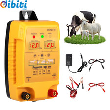 Recinzione Elettrica Da 12 V