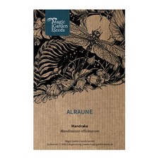 Mandragora (Mandragora officinarum) confezione da circa 10 semi