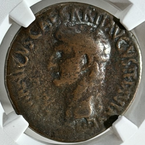 Germanico come postumo - germanico,