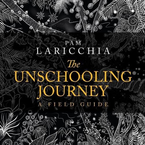 The unschooling journey a - journey:,