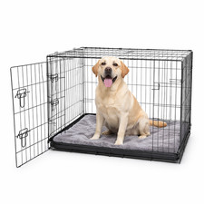 Nobleza Gabbia Cani L Metallo