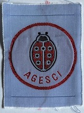 Scout Agesci Distintivo