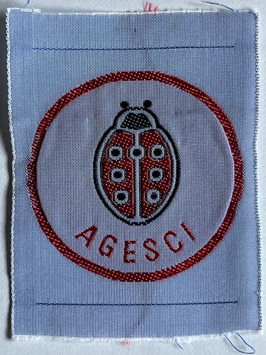 Scout agesci distintivo - scout,