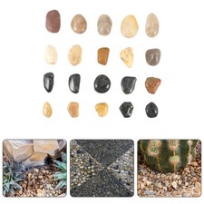  Sassi Da Giardino Ciottoli