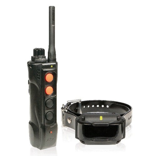 Dogtra edge set - rt,