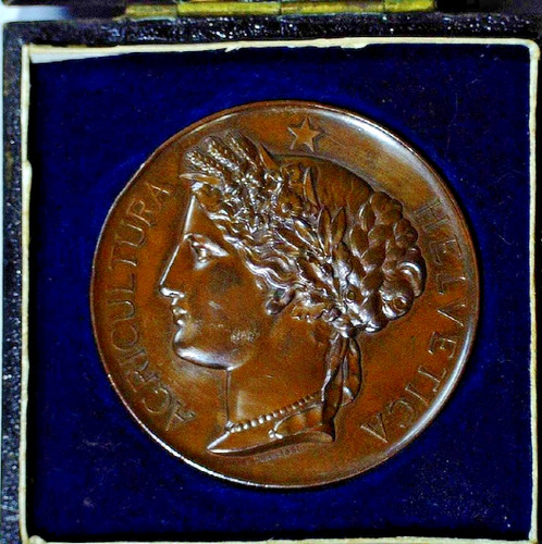 1887 medaglia esposizione - 1887,