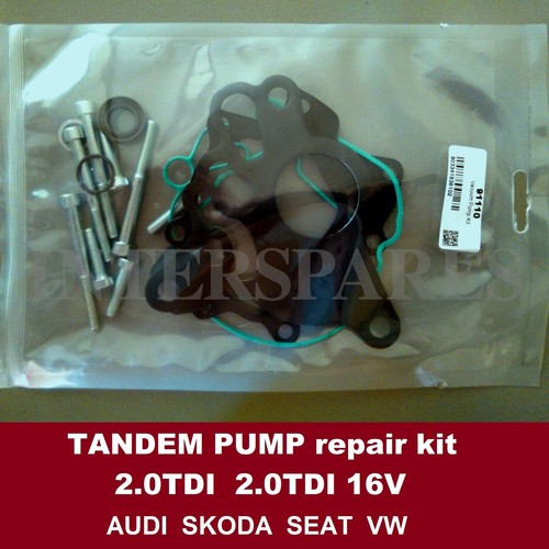 Fuel vacuum tandem pump repair - vacuum,