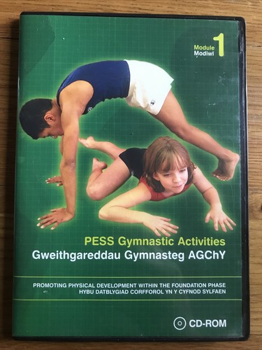 Pess gymnastic activities - gymnastic,