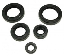 Kit Paraoli per Motore per