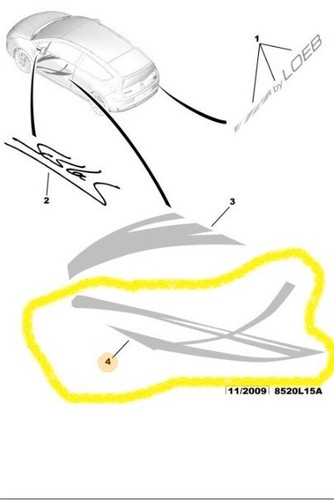 Strip adesiva destra colore - strip,