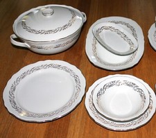 Servizio piatti porcellana