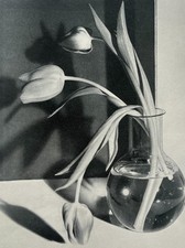 Still life of tulips 1938 by