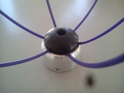 Regalo testina - 1,