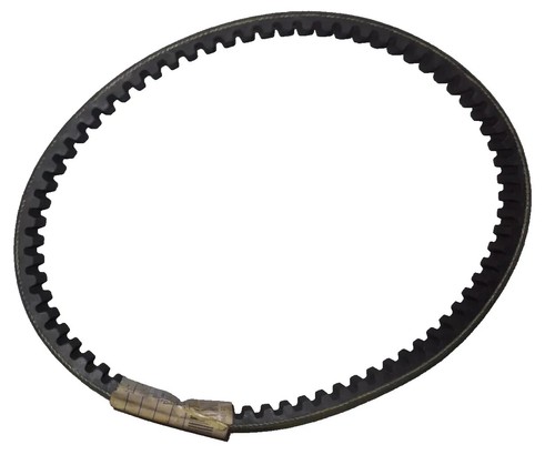 Cinghia trasmissione dayco - cinghia,