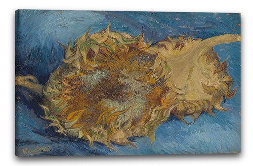 Tela cornice vincent van - vincent,