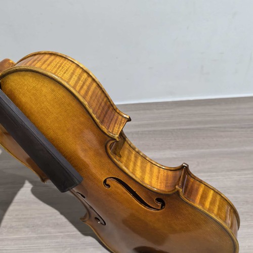 Violino modello - violino,