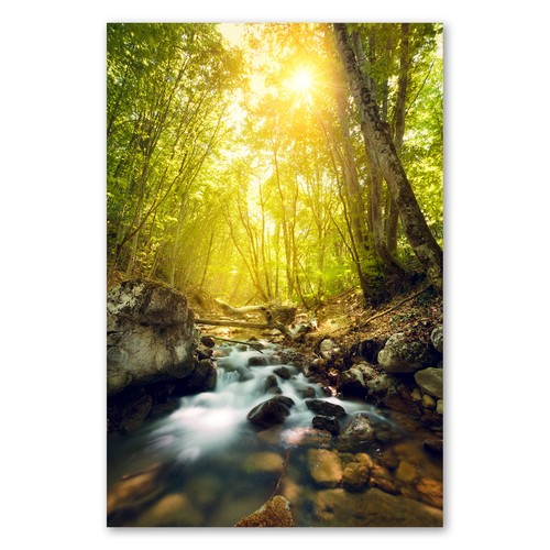 Postereck 2562 poster - 2562,