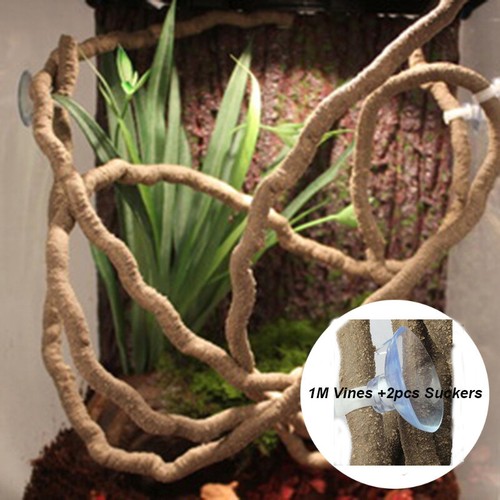 Rettile vivarium flessibile - rettile,