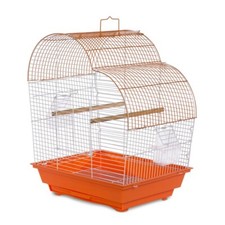 Prevue PetPalm tetto a cascata