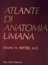 Netter ATLANTE DI ANATOMIA