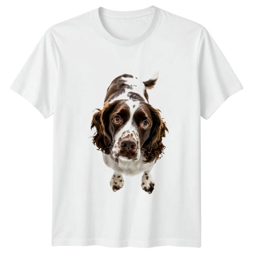 Maglietta cane springer - maglietta,