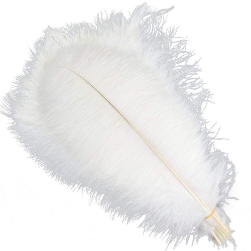 Sowder piume struzzo di - di,