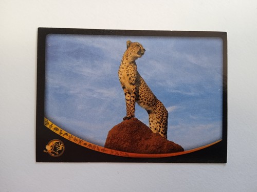 Figurina animal champions - figurina,