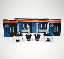 Coppia Lampadine Xenon D8S 6000K